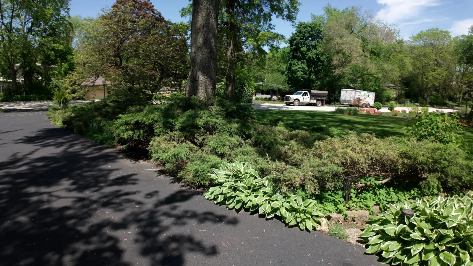Front yard landscape bed with Smith Brothers truck visible at curb
