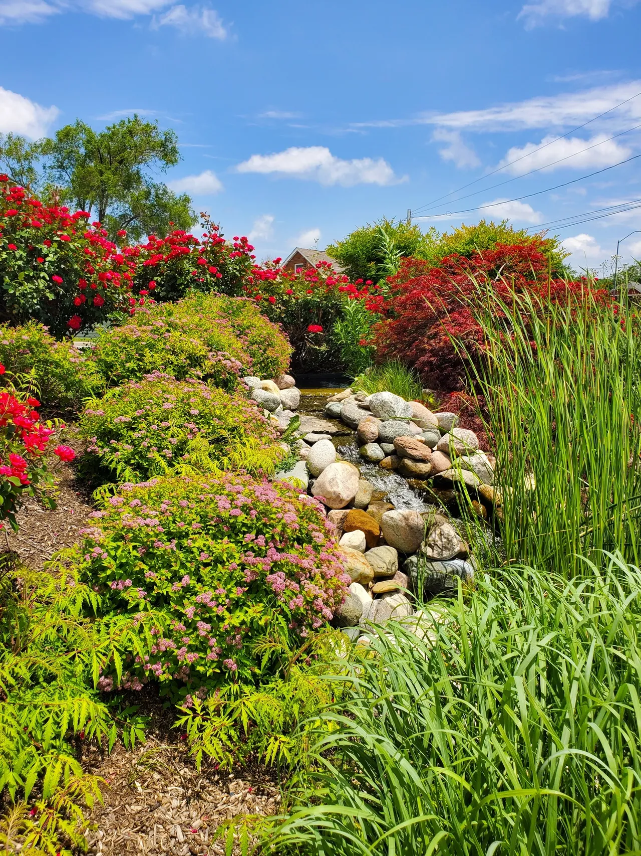 Garden creek stream with flowers
