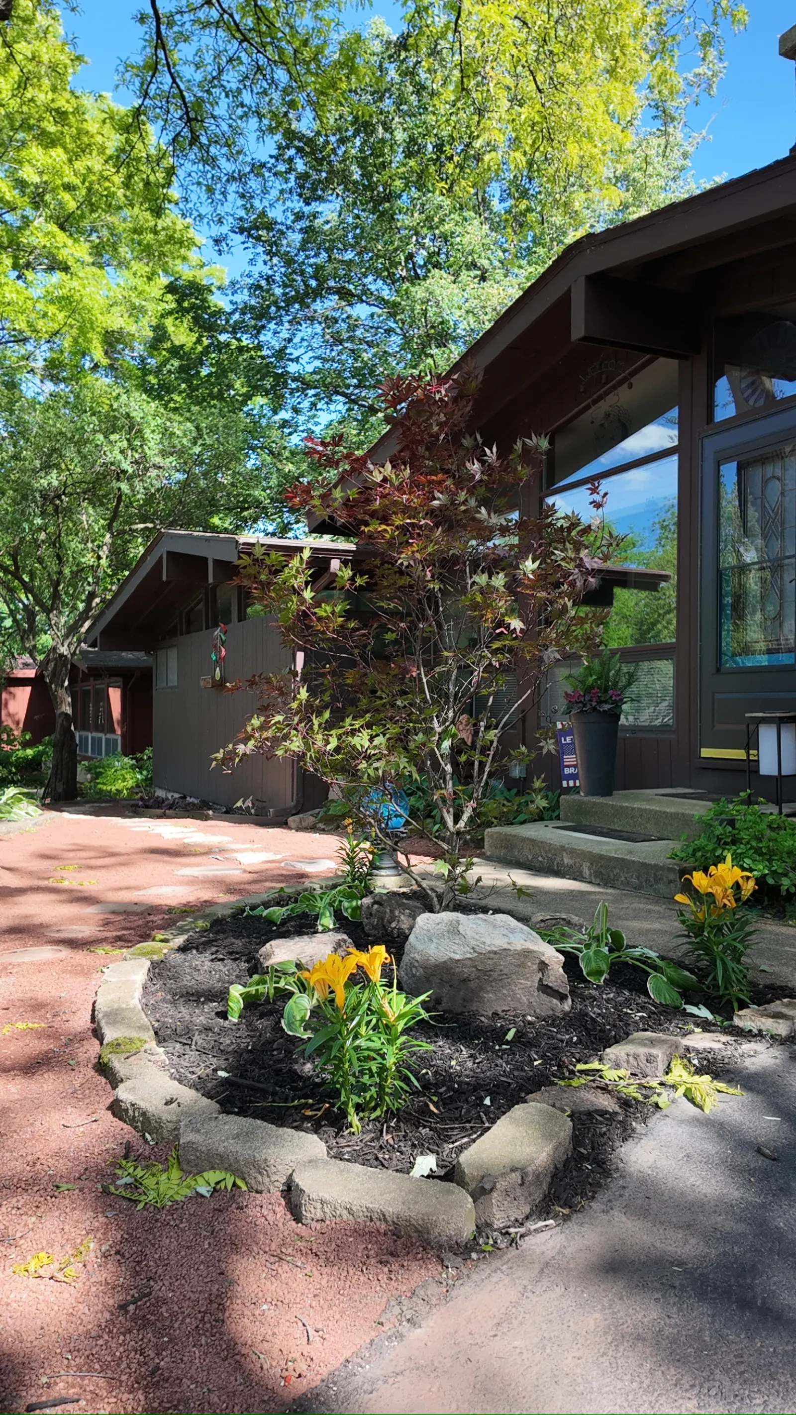 Japanese maple specimen in boulder planter at front entry