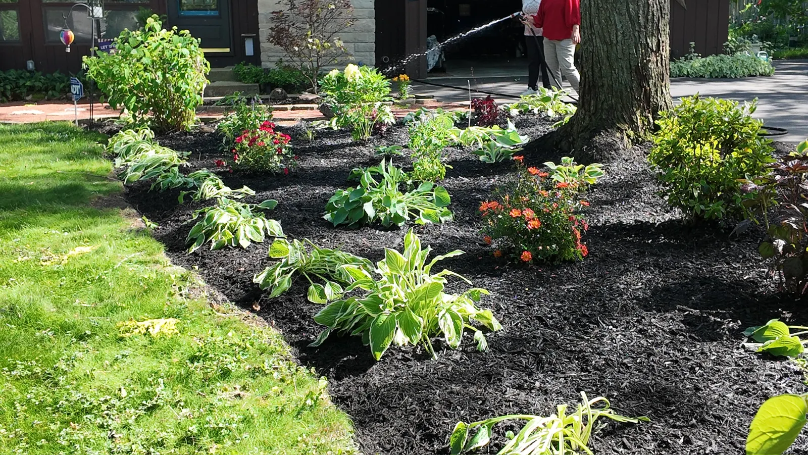 New Planting Install
