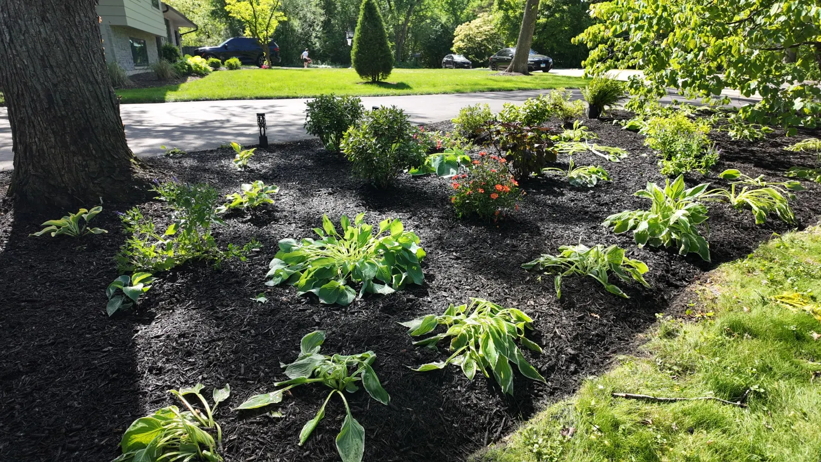 Curb Appeal Refresh